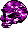 Skull Pink Camouflage Image